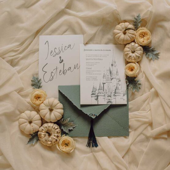 Invitacion boda Disney, weddingland